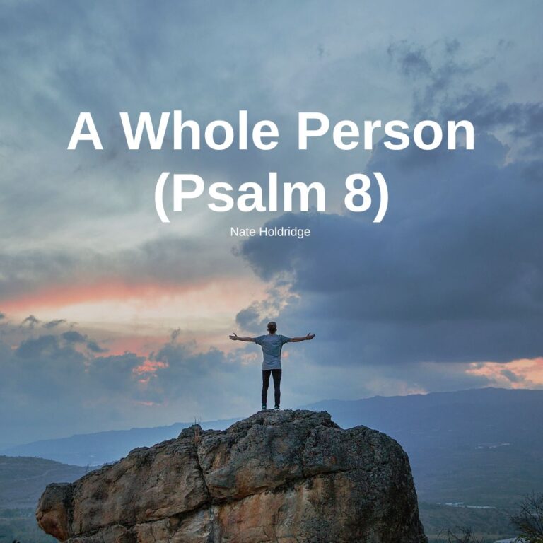 A Whole Person (Psalm 8)