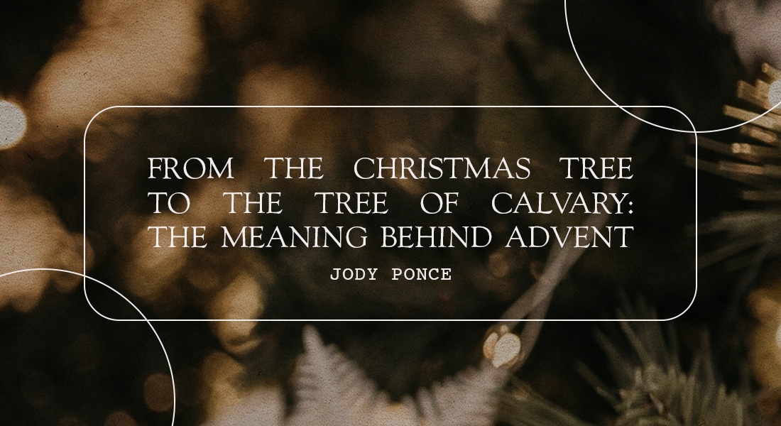 From the Christmas Tree to the Tree of Calvary: The Meaning Behind Advent