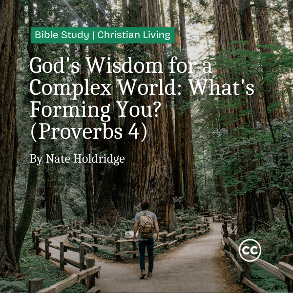 God’s Wisdom for a Complex World: What’s Forming You? (Proverbs 4)