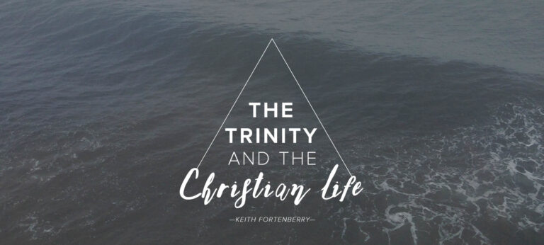The Trinity and the Christian Life