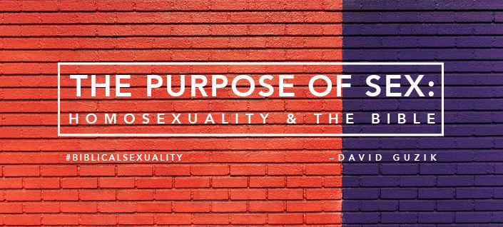 The Purpose Of Sex: Homosexuality And The Bible